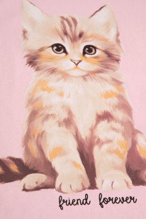 COCCODRILLO t-krekls ar īsam piedurknēm, rozā, cm 