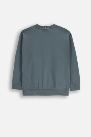 COCCODRILLO t-krekls, pelēki, cm 