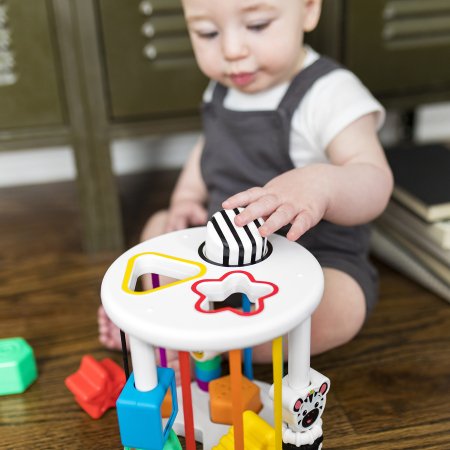 BABY EINSTEIN sensoro formu šķirotājs Zen & Cal’s Playground, 12493 