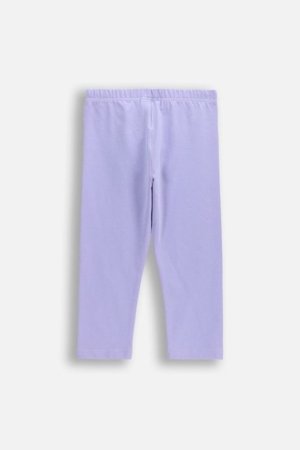 COCCODRILLO legini, violeti, izmērs 