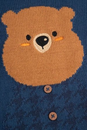 COCCODRILLO džemperis FOREST FRIENDS BOY NEWBORN, zils, ZC5172101FBN-015-086, 86 cm 