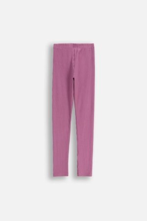 COCCODRILLO zeķubikses, purpurs, ZC5122101WGJ-016-146, 146 cm 