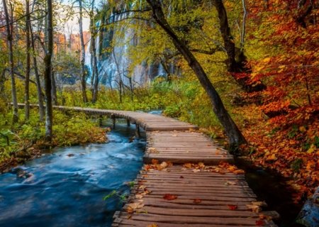 RAVENSBURGER PUZZLE puzle Rudens meža taka, 1000 gab., 12001764 6 