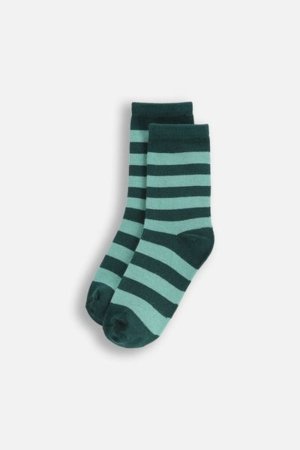 COCCODRILLO zeķes SOCKS BOY, krāsains, cm 