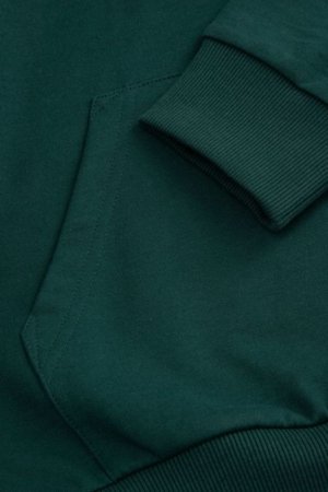 COCCODRILLO džemperis ar kapuci, zaļa, WC6132301VBA-011-146, 146 cm 