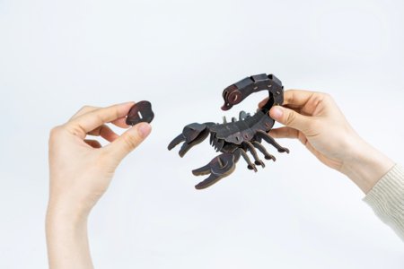 MAKEBUG 3D papīra puzle Forest scorpion, MB-D-0053 