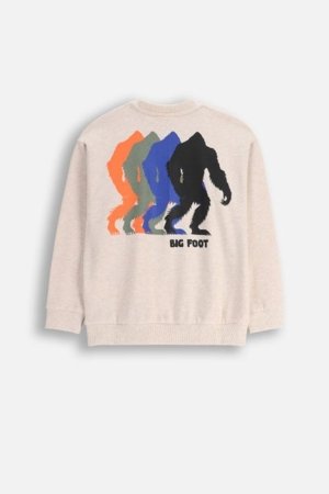 COCCODRILLO t-krekls, krēmveida, ZC5143102YBJ-002-146, 146 cm 