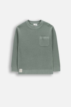 COCCODRILLO džemperis, zaļa, WC6172101CSB-011-140, 140 cm 