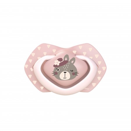 CANPOL BABIES silikona māneklītis, simetrisks BONJOUR PARIS, 0-6m, 2 gab, 22/647_pin 22/647_pin