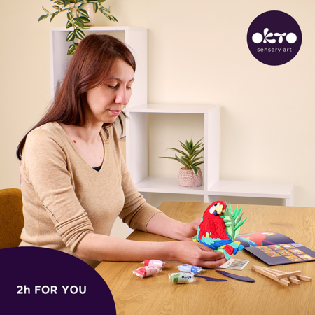 OKTO 3D Art Set Macaw, 20045 