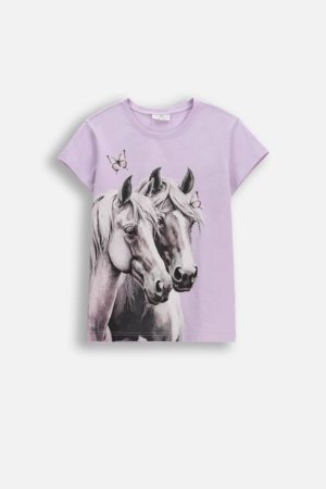 COCCODRILLO t-krekls ar īsam piedurknēm, violeti, cm 