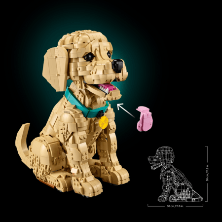 11384 LEGO® Icons Zelta retrīvera kucēns 