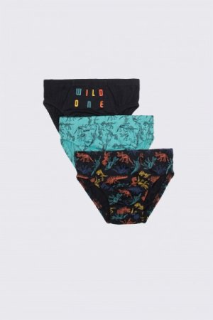 COCCODRILLO biksītes PANTS, multicoloured, 128/134 cm, 3 gab., WC2409303PAN-022 WC2409303PAN-022-116