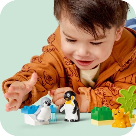 10442 LEGO® DUPLO® Town Savvaļas dzīvnieku ģimenes: Pingvīni un lauvas 