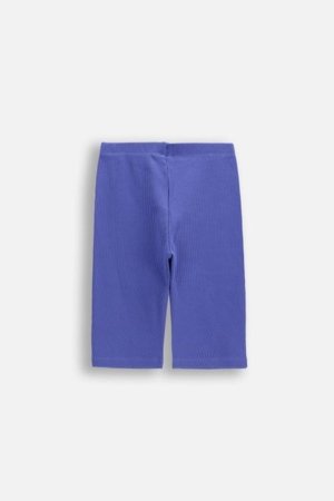 COCCODRILLO legini, violeti, izmērs 