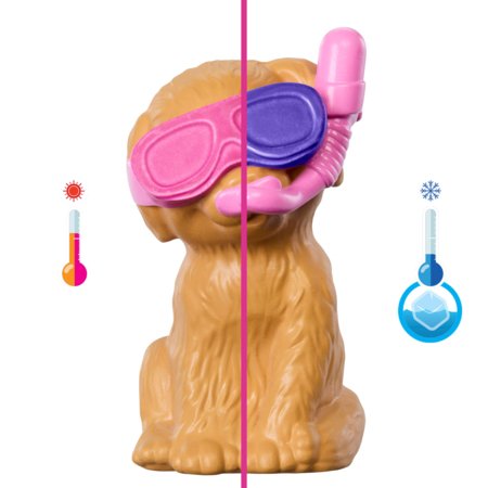 BARBIE Kucēnu ballīte pie baseina, JBF35 