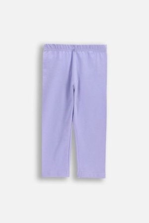 COCCODRILLO legini, violeti, izmērs 