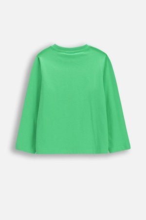 COCCODRILLO t-krekls ar garām piedurknēm, zali, cm 