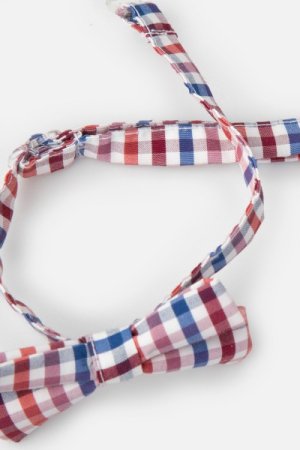 COCCODRILLO tauriņš ELEGANT JUNIOR BOY, multicoloured, ZC3371202EJB-022   