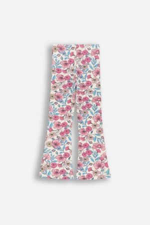 COCCODRILLO legini, krāsaini, 