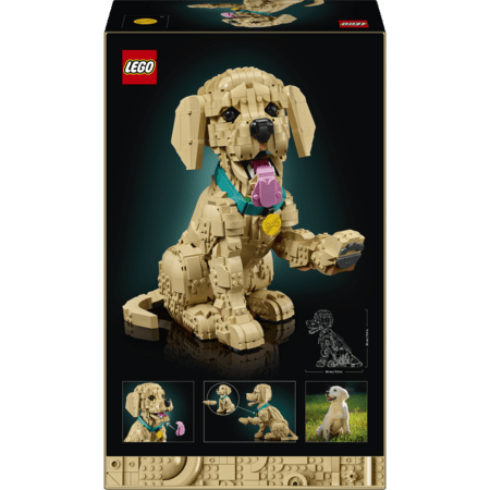 11384 LEGO® Icons Zelta retrīvera kucēns 