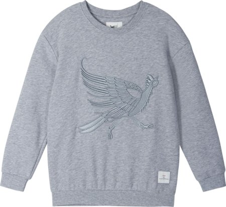 REIMA džemperis PIHATATAR, 536733-9150, 110-116 izmērs 