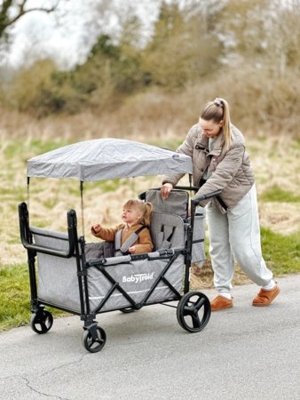BABYTROLD ratiņi FUN, Grey, 13-04G 