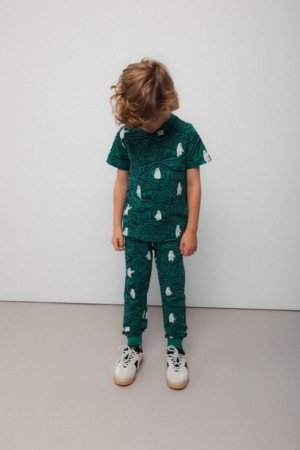 COCCODRILLO zeķubikses, daudzkrāsains, cm 