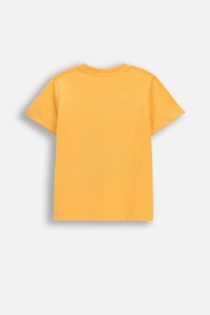 COCCODRILLO t-krekls ar īsam piedurknēm, oranži, WC6143203MBK-006-122, 122 cm 