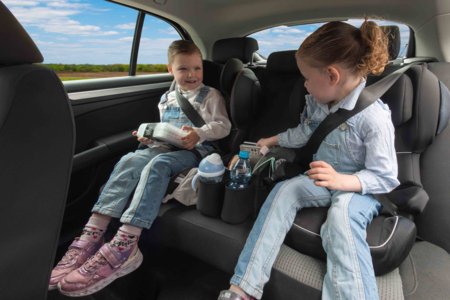 DOOKY aizmugurējā sēdekļa grozs, 5128224 