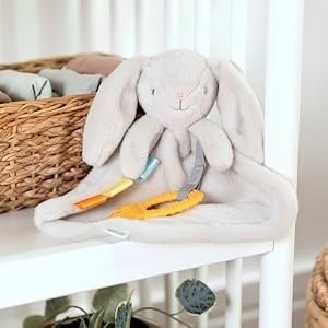 INGENUITY plīša zaķītis – zobgrauznis Cozy Sylvi, 17302 