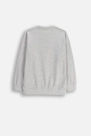 MOKIDA t-krekls MOKIDA COLLECTION BOY, pelēks, ZM5143102MCB-019-128, 128 cm 