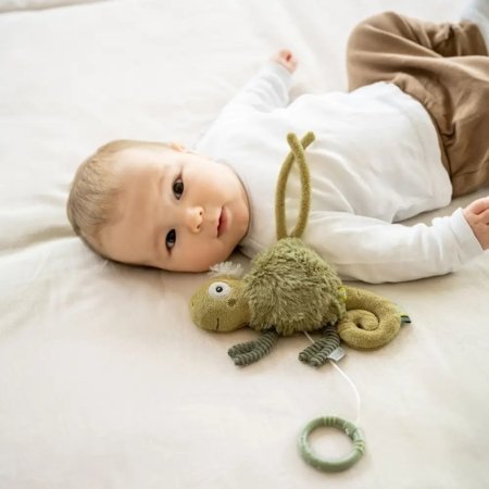 FEHN muzikāla rotaļlieta CHAMELEON, 042436 