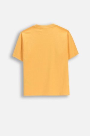 COCCODRILLO t-krekls ar īsam piedurknēm, oranži, WC6143205MBJ-006-140, 140 cm 