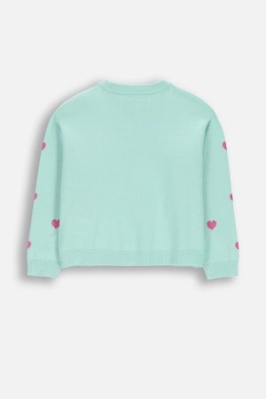 COCCODRILLO džemperis, zaļa, WC6172106CSG-031-110, 110 cm 