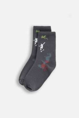 COCCODRILLO zeķes SOCKS BOY, krāsains, cm 