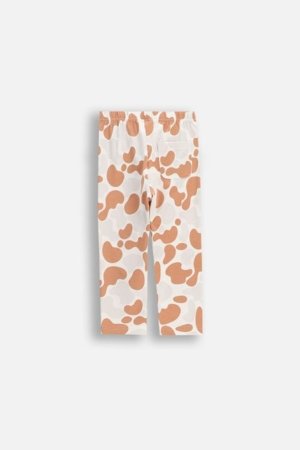 COCCODRILLO legini, krēmkrāsas, WC6122101HUN-022-062, 62 izmērs 