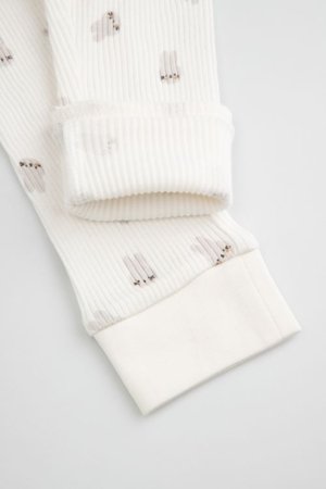 COCCODRILLO legini, krēmkrāsas, WC6122103HUN-003-074, 74 izmērs 