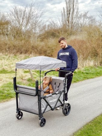 BABYTROLD ratiņi FUN, Grey, 13-04G 