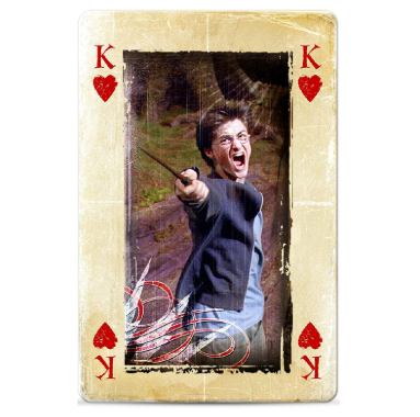 Waddingtons spēļu kārtis Harry Potter, EN, WM05989-EN1-12 
