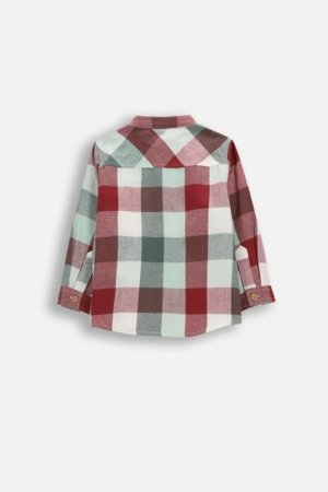 COCCODRILLO krekls, zali, cm 