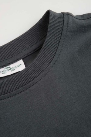 COCCODRILLO t-krekls ar īsam piedurknēm, pelēki, WC6143202RBJ-020-146, 146 cm 