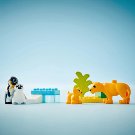 10442 LEGO® DUPLO® Town Savvaļas dzīvnieku ģimenes: Pingvīni un lauvas 