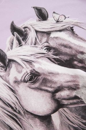 COCCODRILLO t-krekls ar īsam piedurknēm, violeti, cm 