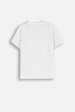 COCCODRILLO t-krekls ar īsam piedurknēm BASIC BOY, balta, XCX143201BAB-001-164, 164 cm 