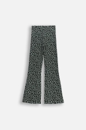 COCCODRILLO legini, zali, cm 