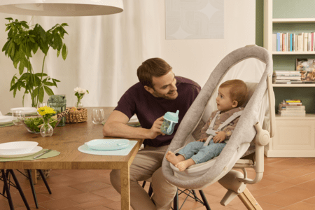 CHICCO šūpulītis BABY HUG ARMONIA, Scandinavian 