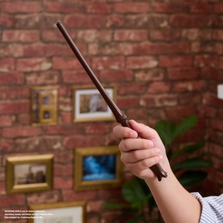 HARRY POTTER Magical collector zizlis, 6068013 