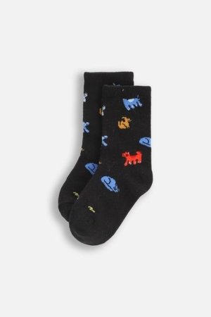 COCCODRILLO zeķes SOCKS BOY, krāsains, 