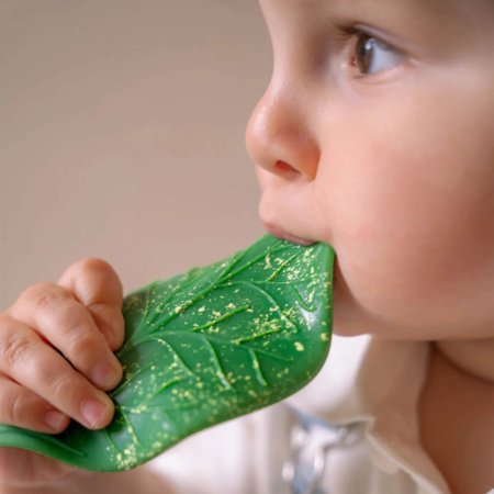OLI&CAROL zobgrauznis CHLOROPHYLL LEAF 